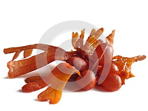 Bladder wrack isolated (Fucus vesiculosus) photo