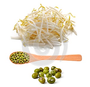 Bean Sprouts and mung beans