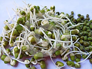 Bean sprouts with Mungbean photo