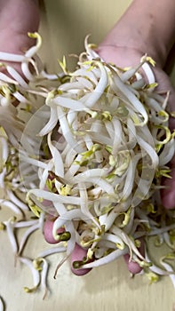 Bean sprouts are poured into a woman\'s hand