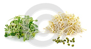 Bean Sprouts on white