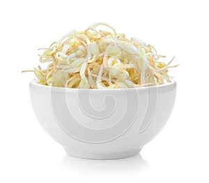 Bean Sprouts in white bowl on white background