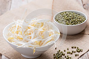 Bean sprouts on wood background