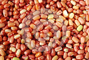 Beans