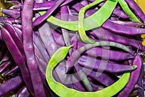 Beans. Asparagus bean pods. Purple and green. Background