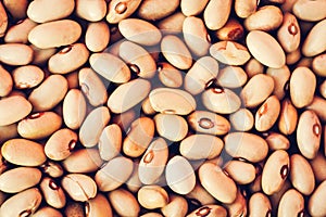 Beans background Phaseolus â€“ food for veggies