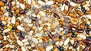 Beans of bean. Background of many grains of dried beans. Brown beans texture. Food background