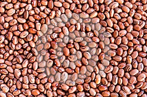 Beans of bean  beans .  Background of many grains of dried beans. Brown beans texture. Food background. Close up