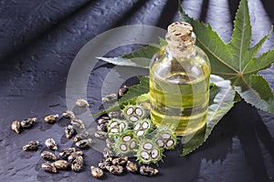 Beans and castor oil photo