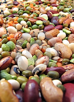 Beans closeup