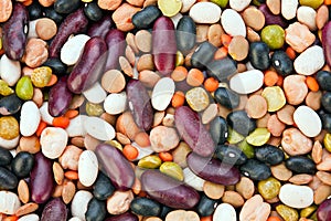 Beans color mix closeup on white