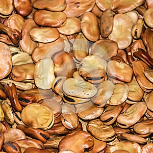 Beans haricot vegetable food close up