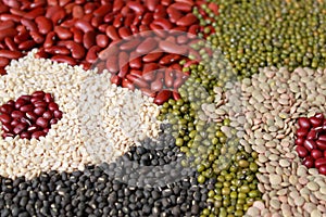 Beans, legumes assortment photo