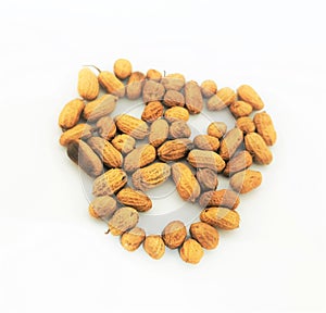 beans, peanuts or groundnuts isolated on white background