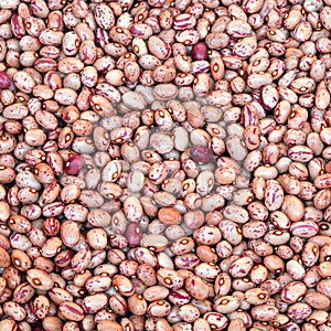 beans of pinto quality