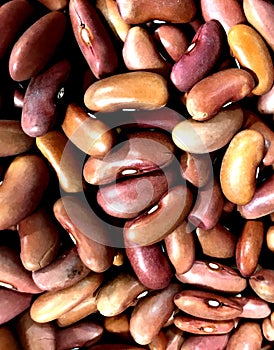 Beans, red kidney, sold in bulk in Oklahoma City