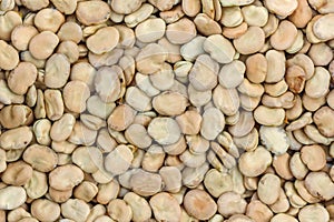 Beans seed texture