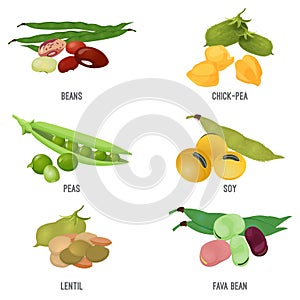 Beans species set, healthy and nutritious natural food