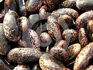 Beans texture