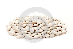 Beans - white kidney beans photo