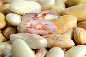 Beans yellowish on the table