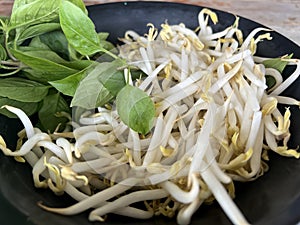 beansprout and basil leaf for cooking