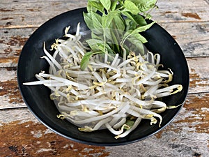 beansprout and thai basil on dish
