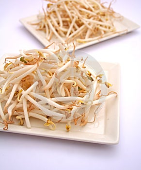 Beansprouts