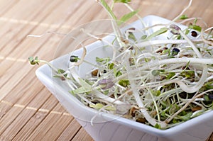 Beansprouts in a bowl