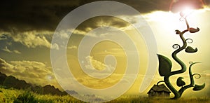 Beanstalk with stormclouds photo