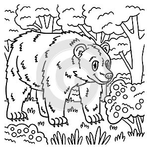 Bear Animal Coloring Page for Kids photo