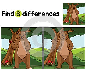 Bear Animal Find The Differences
