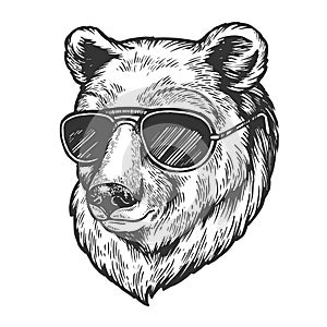 Bear animal in sunglasses sketch engraving vector