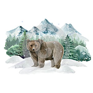 Bear animal in winter landscape. Watercolor illustration. Wild cute grizzly bear in winter forest. Festive image print