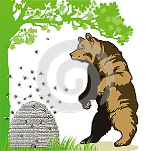 Bear and beehive