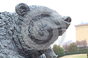 Bear in The Benjamin Franklin RoundPoint In Philadelphia