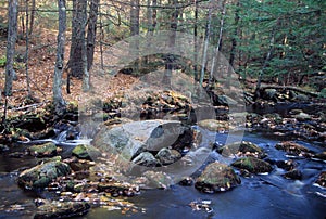 Bear Brook - New Hampshire photo