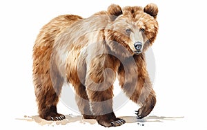Bear in Brown on White Background -Generative Ai