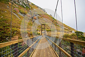 Bear Canyon Suspension Bridge in Autumn