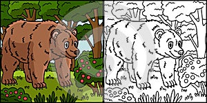 Bear Coloring Page Colored Illustration photo