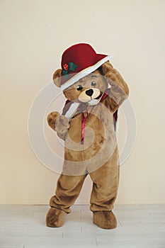 bear costume in christmas outfit for celebration