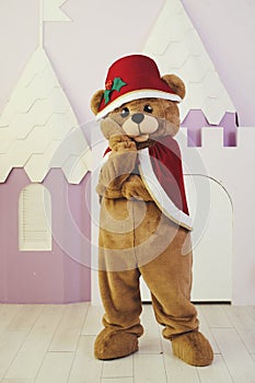 bear costume in christmas outfit for celebration