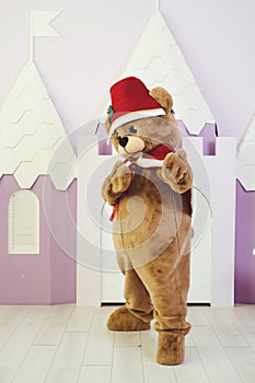 bear costume in christmas outfit for celebration