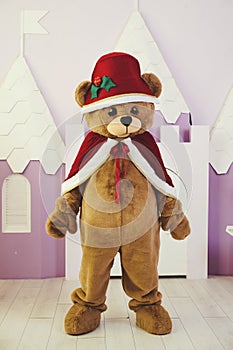 bear costume in christmas outfit for celebration