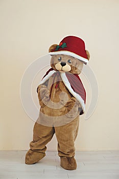 bear costume in christmas outfit for celebration