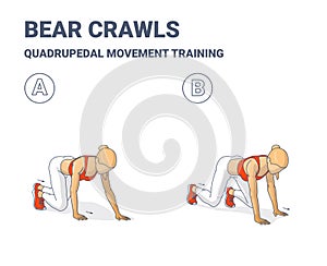 Bear Crawls Exercise, Women Home Workout Guidance of Quadrupedal Movement