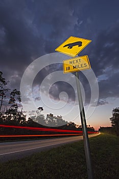 Bear Crossing Sign in Ocala National Forest, Florida