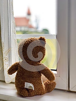 A teddy bear doll watching outside through a window