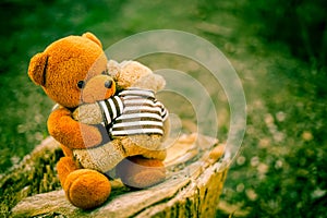 the bear doll hug little teddy