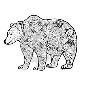 Bear doodle